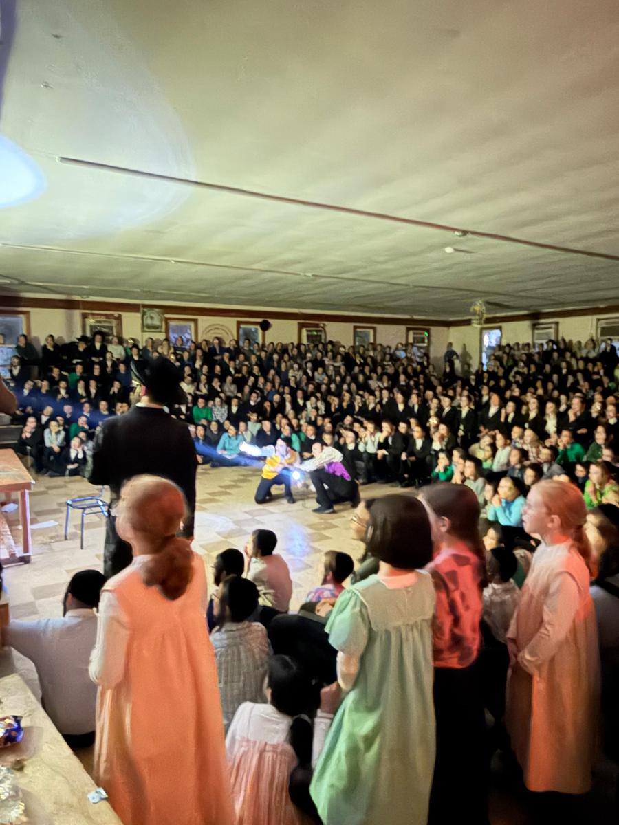 A hall full of girls and families watching the show